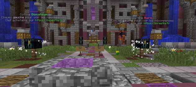 Je vais vous vendre un serveur Minecraft complet 