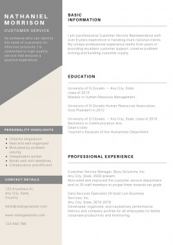 Best resume templates picture